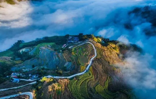 哀牢山