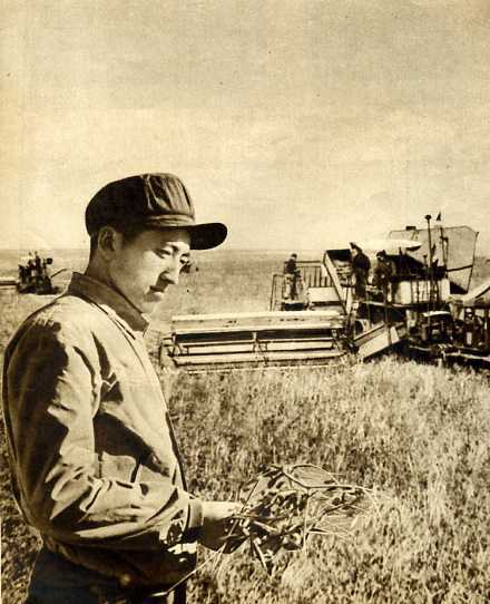 黑龙江省国营三九机械农场（1952年）