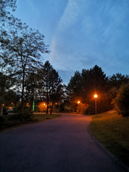 校园小路