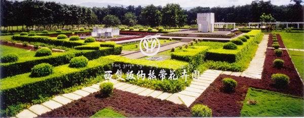 西双版纳花卉园
