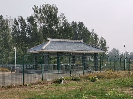 三杨庄遗址