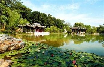 茂叔莲池