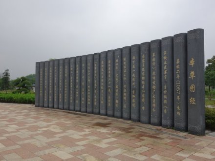 厦门同安苏颂公园《本草图经》石墙 