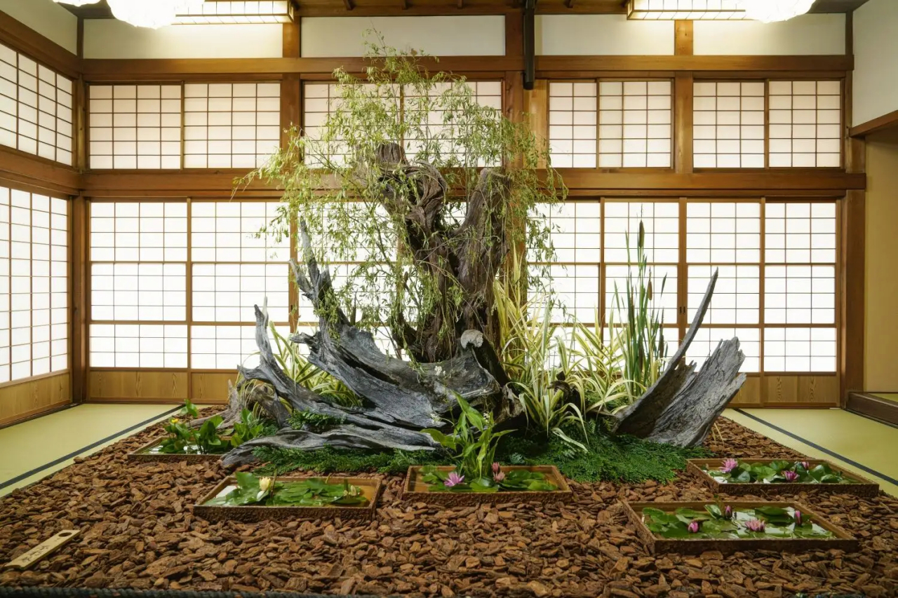 日本大型花道