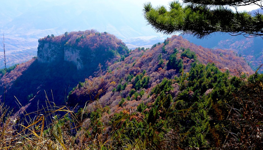 紫荆山