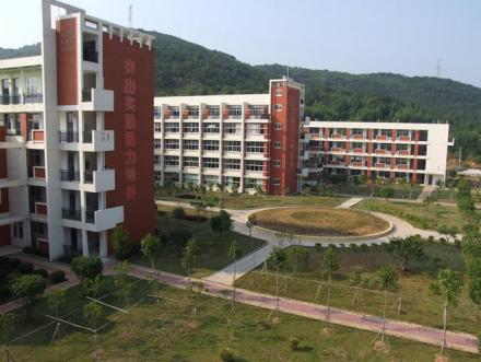 枫亭镇学校