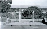 德岛大学