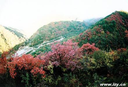 甘山森林公园