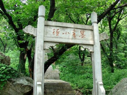 墨香小径