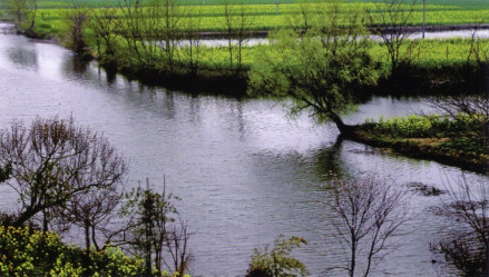 冶河湿地