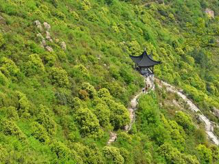半山亭