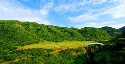 甘肃渭河源国家森林公园