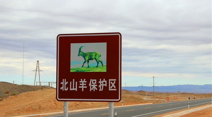 马鬃山北山羊保护区