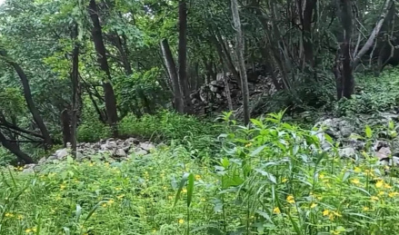 霸王朝山城遗址