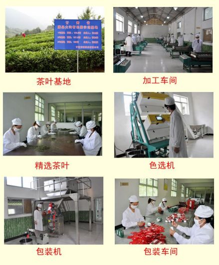 龙神茶工艺