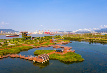 芒洲湿地公园