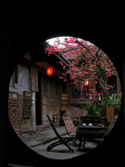 阆中海棠花