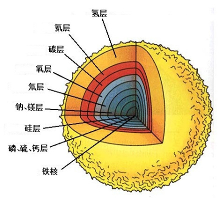 大质量恒星洋葱结构图示。实际上氢层可占直径的80%以上。