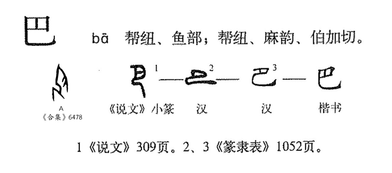 字形演变流程图（文中出现序号参照此图所示文字）