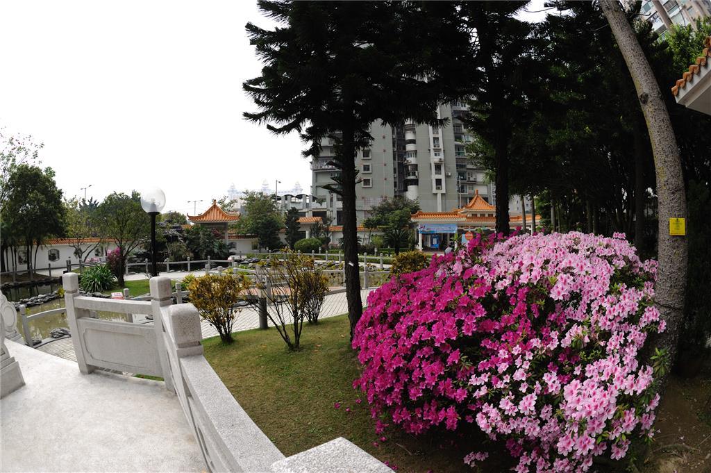 花城公园