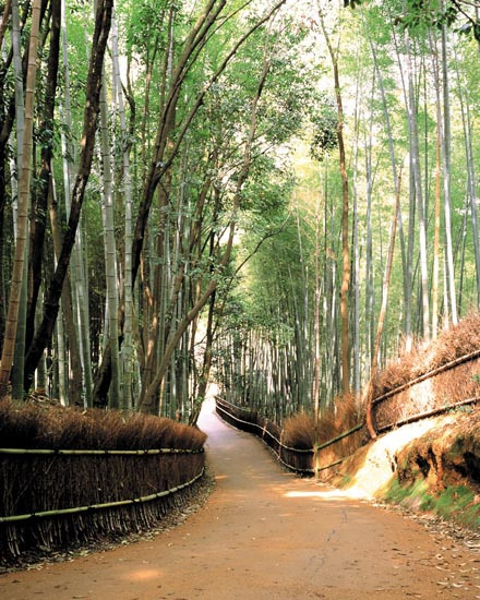 德清县风景图