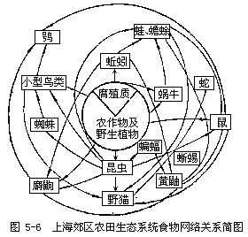 生态结构