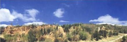 龙山