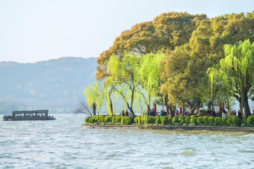 柳浪闻莺