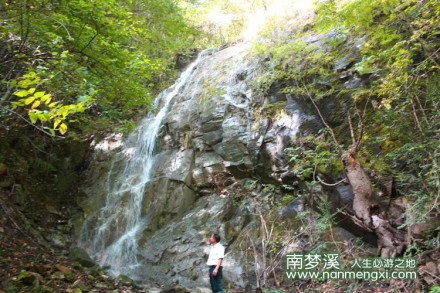 森林 瀑布 风景 山水 溪水 古树 南梦溪