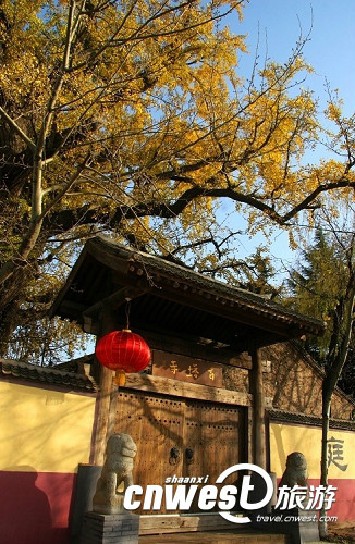 祖庭