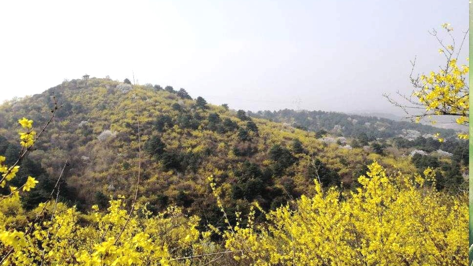 安泽县黄花岭