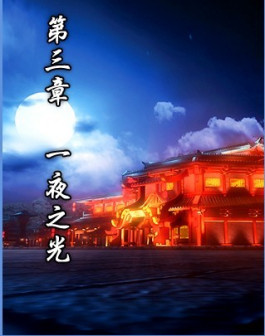 第三章 一夜之光