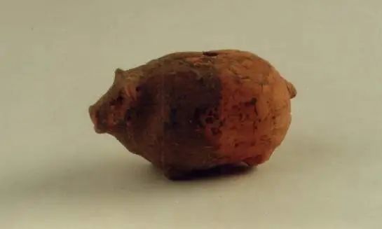 陶猪