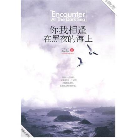 你我相逢在黑夜的海上