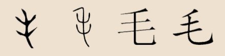 毛姓汉字演变
