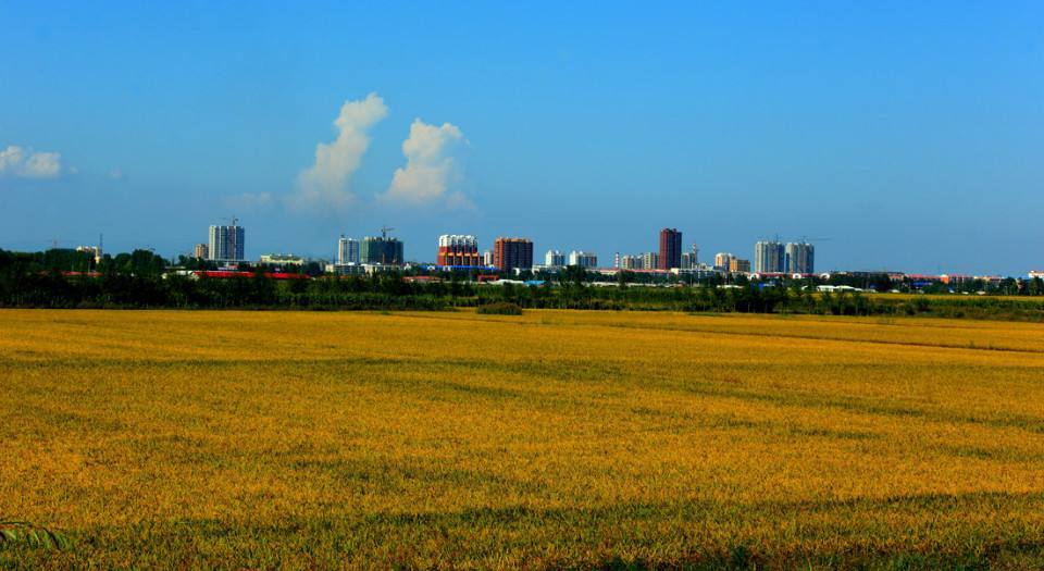 东北平原
