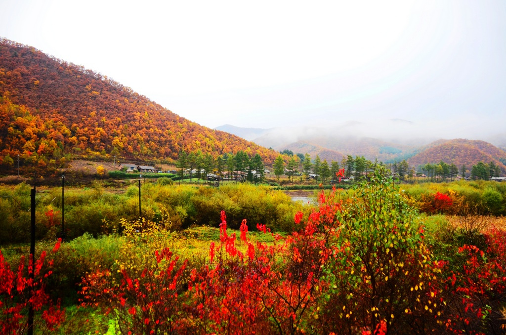 肇岳山国家级湿地公园