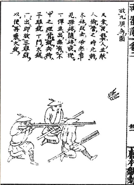 图7 九头鸟
