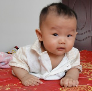 八个月是爬行的重要时期