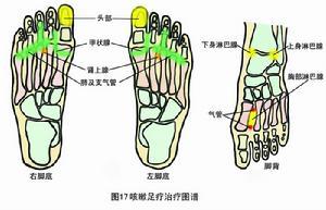 全身淋巴腺