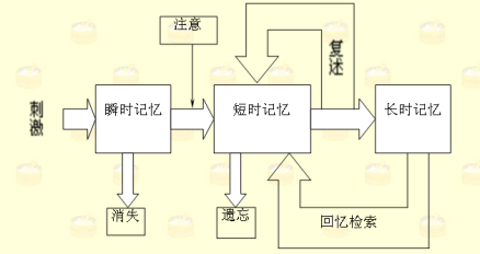 记忆的三级信息加工模式图 