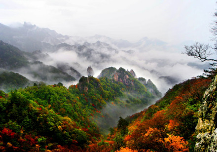 丹霞寺森林公园