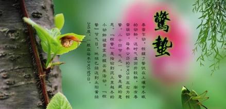 惊蛰—春气萌动