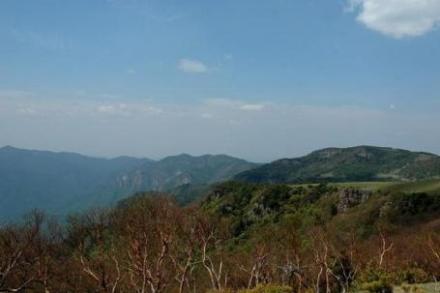 历山风景