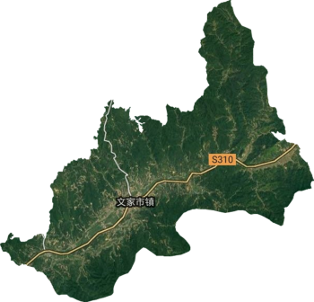 文家市镇卫星图