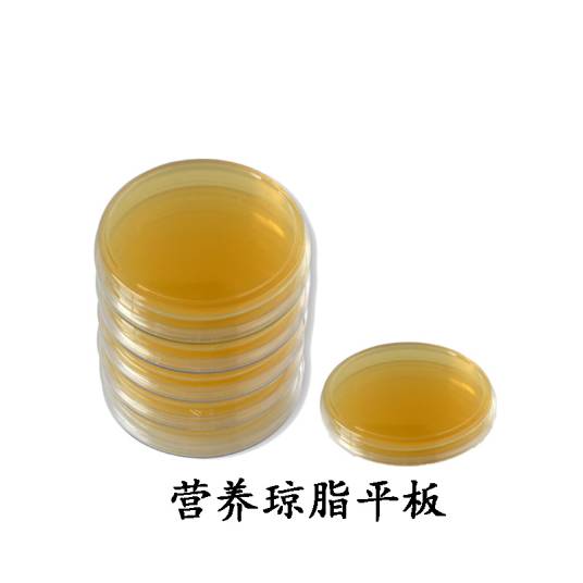 平板培养基 平板培养基