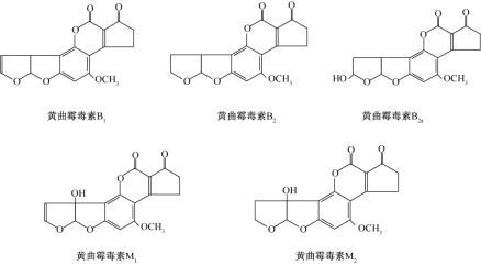 黄曲霉毒素的各种代谢产物的化学结构