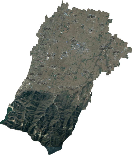 齐镇