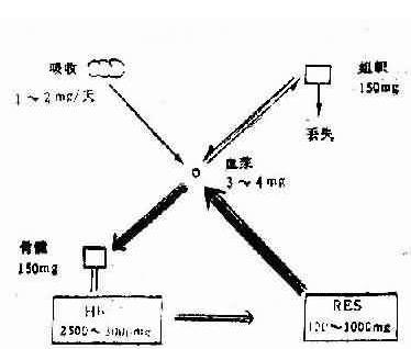 遗传性椭圆形红细胞增多症