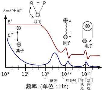 原子极化 原子极化